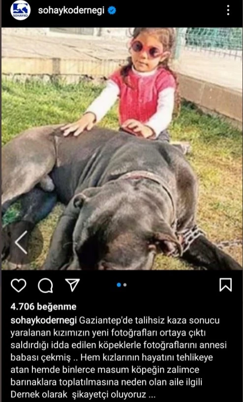 Pitbull saldırısına uğrayan Asiye'nin ailesine dava! SOHAYKO Derneği aileyi sorumsuzlukla suçladı